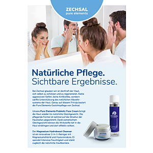 Flyer Zechsal pure elements, Pro Stück